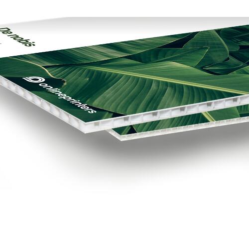 Panneau alv�olaire blanc, l�ger et robuste.