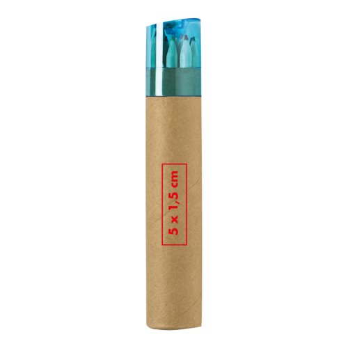 Crayons de couleur en bois dans un tui en carton.