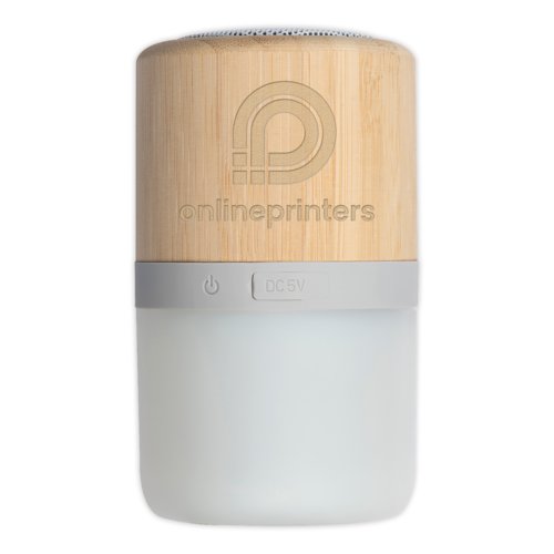 Haut-parleur en bois clair avec des accents gris.